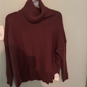Ribbed Turtleneck Sweater in Deep Brown